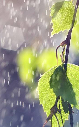 唯美下雨天手机壁纸