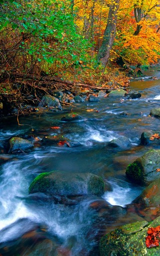 秋天的山水自然风景壁纸