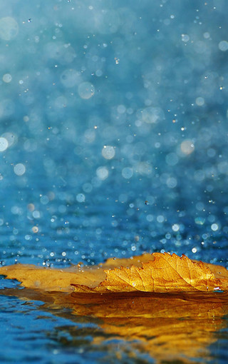 雨中风景高清手机壁纸