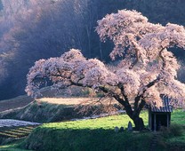 世界风景宽图手机壁纸 高清世界风景宽图手机壁纸大全 Zol手机壁纸