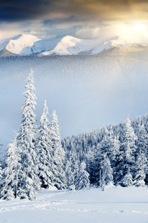 冬季雪景高清壁纸图片