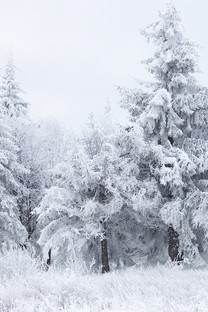冬季风景手机壁纸图集