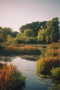 风景秀美的湿地公园图片壁纸