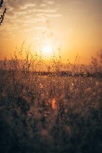 落日夕阳光影图片壁纸