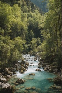 幽静的山涧溪流瀑布图片风景壁纸