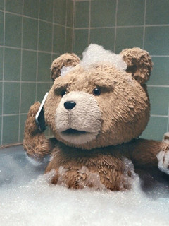 可爱泰迪熊手机壁纸