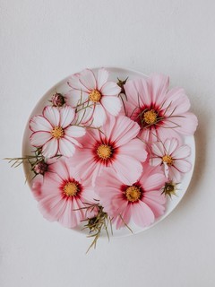 清新盘中花卉图片壁纸