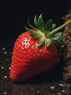 成熟的草莓红色的水果壁纸