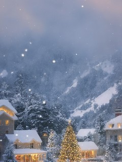 灯光闪烁的圣诞树唯美风景图片壁纸
