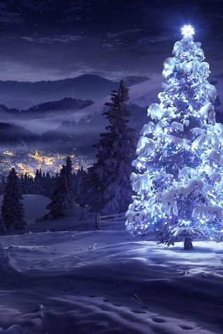 唯美的圣诞树图片壁纸