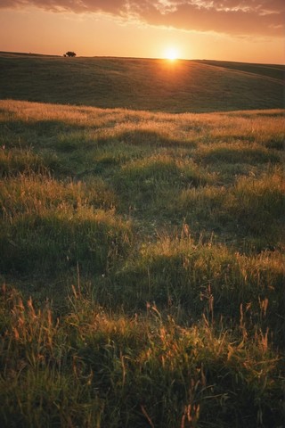 最美的草原日落图片壁纸