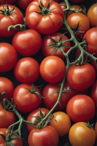 西红柿精美高清图片壁纸