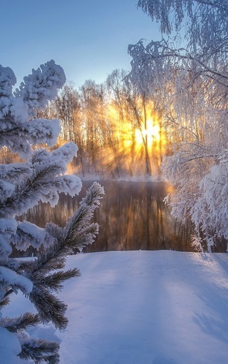冬天的美景最美图片