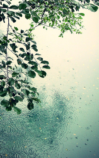 雨中即景风景图片