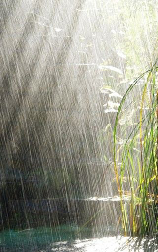 下雨照片真实图 唯美图片