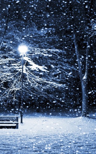 唯美冬日雪景野外意境图片壁纸