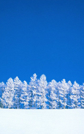 冬季美丽的雪景手机壁纸下载 Zol手机壁纸