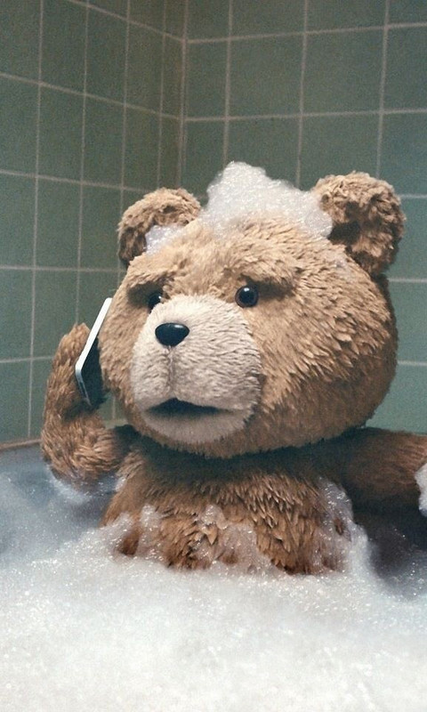 可爱泰迪熊手机壁纸