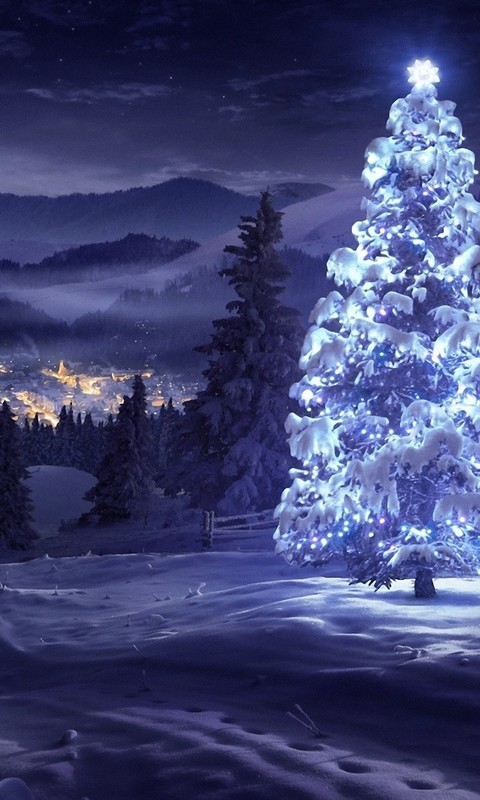 唯美的圣诞树图片壁纸