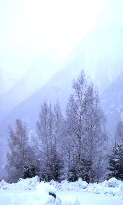 魅力震撼的雪景图片壁纸图集