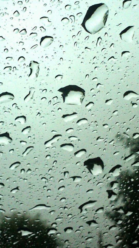 雨中美景高清手机壁纸
