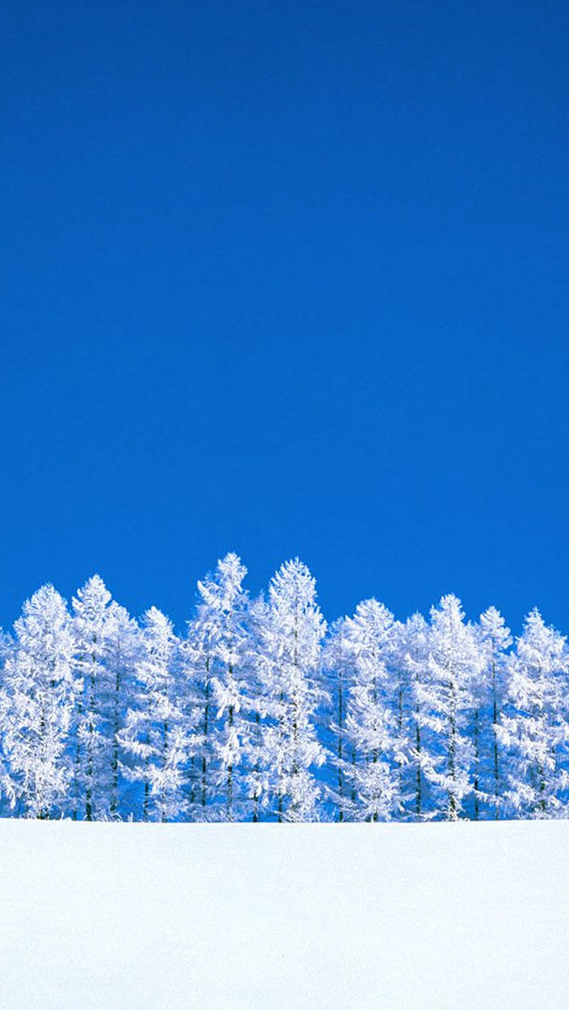 冬季美丽的雪景手机壁纸下载