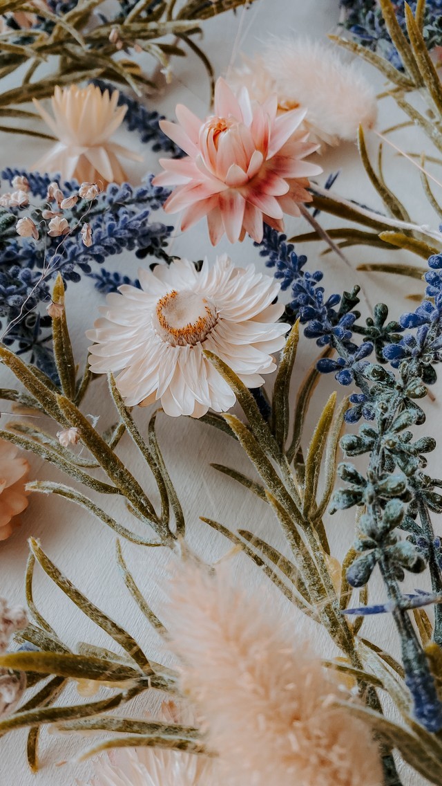 纯花朵背景图片壁纸