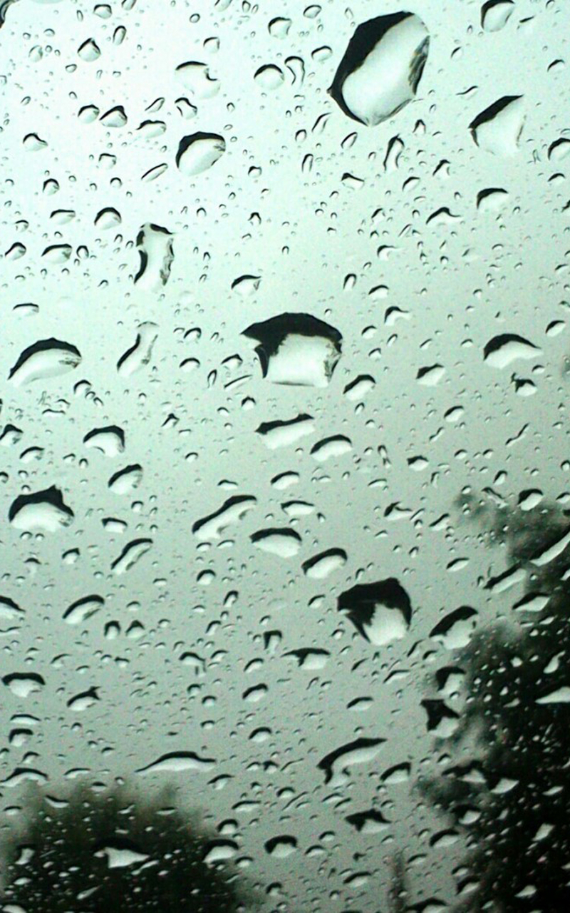雨中美景高清手机壁纸